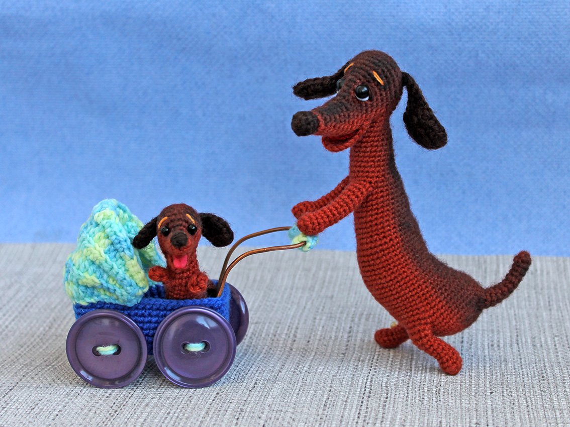 Blog-Inhaltsbild für 'A dachshund with a stroller'