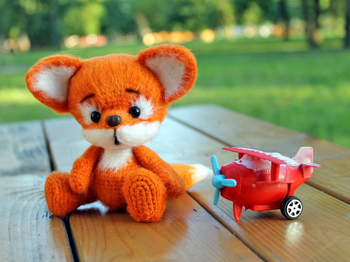 Blog content image for 'Little fox'