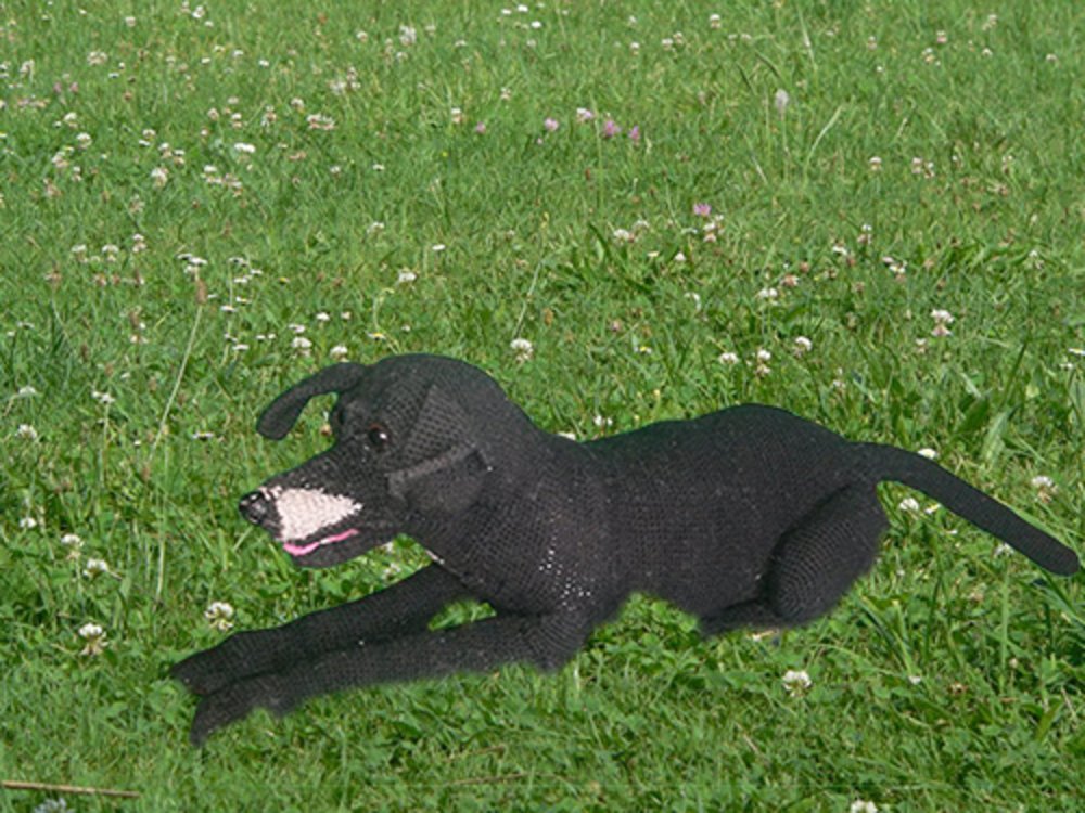 Häkelanleitung - - Labrador Retriever -Crochet Modelling