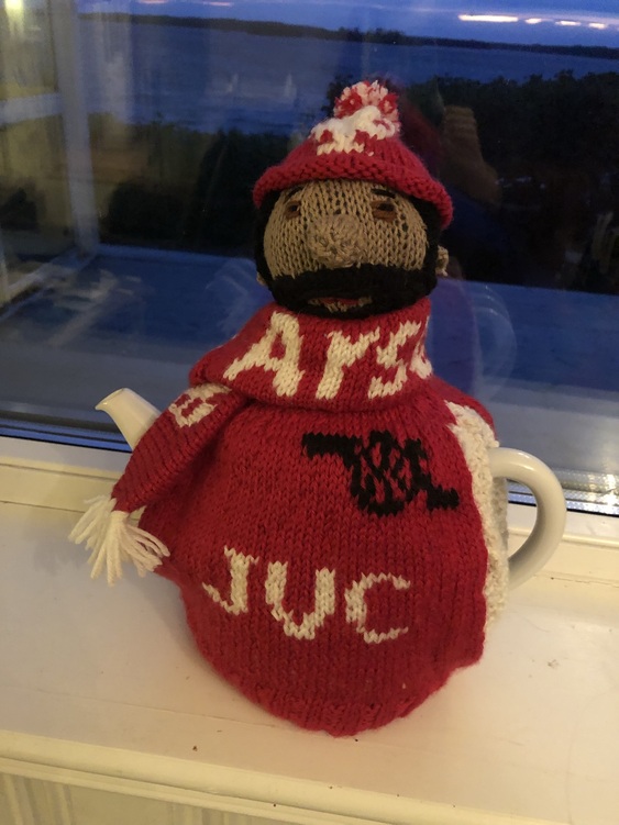 Nottingham Forest Football Supporter Tea Cosy