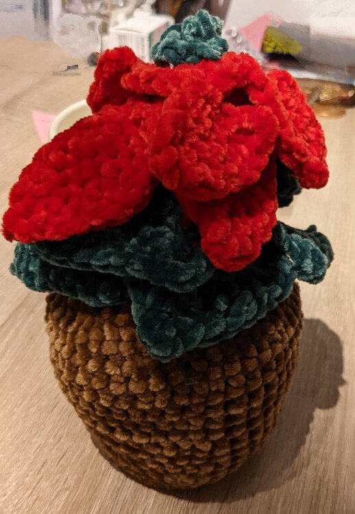 Crochet pattern poinsettia