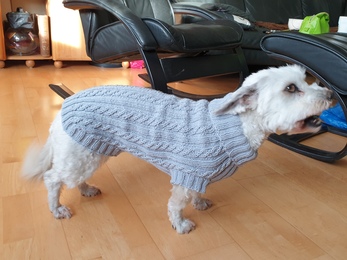 Mein erster Hundepullover, gestrickt in Größe L, mit Schachermayr Merino extrafine 120. Gestrickt für einen Malteser Mix ca 10 kg
Vielen Dank für die tolle Anleitung!