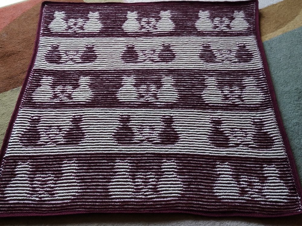 Katzendecke Illusionsstricken