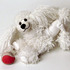 crochet pattern princess toy poodle dog by Katja Heinlein animal pdf file amigurumi ebook tutorial instruction guide