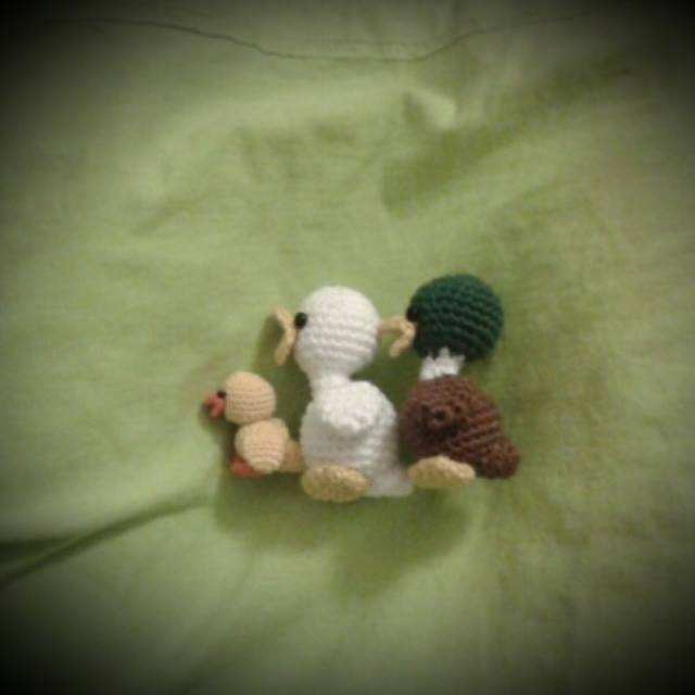 Mini Enten Entchen Küken Familie Amigurumi Free E-Book | Kostenlos ...