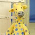 Amani the Giraffe knitting pattern