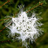 Schneeflocke 'Stern' - Häkelanleitung mit Häkelschrift