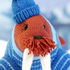 Akiak the Walrus knitting pattern