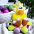 Dotti the sweet Easter Chicken - Free Crochet Pattern english