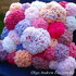 Coral reef cushion knit/crochet pattern 035