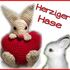 Herziger Hase