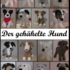 Der gehäkelte Hund - E-Book