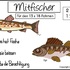 Stickdateien Mitfischer für den 13x18 Rahmen