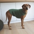 Strickanleitung Hundemantel "Tweed & Trachtenwolle" 756222