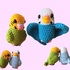 Small budgies (sitting & flying)