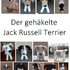 Der gehäkelte Jack Russell Terrier