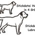 Stickdatei Hund Labrador in 6 Größen