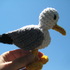 Crochet seagull pattern