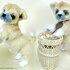 106 Crochet Pattern - Shih Tzu puppy dog - PDF file Amigurumi by Chirkova CP