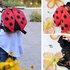 Backpack «Ladybug»