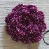 Crochet pattern: keychain Rose