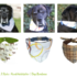 Dandy 3 Styles Set: Dog Bandana Sewing Patterns