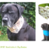 Dandy Reversible Dog Bandana Sewing Pattern