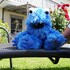 Blaues Monster Handpuppe