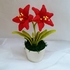 Amaryllis - Weihnachtsblume - Häkelanleitung