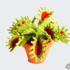 Crochet pattern Venus Flytrap