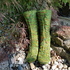 Sternzeichen Socken "Zwillinge"