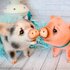 210 Crochet Pattern - Cute Little Pig - Amigurumi PDF file by Ogol CP