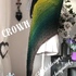 CROWN