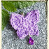 Crocheted butterfly "Zoe's butterflies"