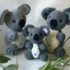 Sparpaket: Koala-Familie