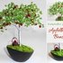 Apple tree bonsai from beads and wire - and love