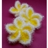 Frangipani (Plumeria) Waschpads - die Blume der Freundschaft