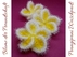 Frangipani (Plumeria) Waschpads - die Blume der Freundschaft