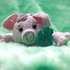 Amigurumi pig talisman animal free crochet pattern tutorial