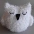 Sleeping owl sponge - for bathing and washing dishes