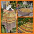 Indian Summer Poncho Pulli