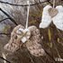 Pair of Wings in Shabby Style with Heart and Star