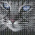 Cat cross-stitch embroidery pattern