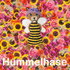 Hummelhase