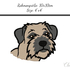 Border Terrier 10x10