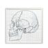 skull silhouette pattern for embroidery