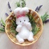 Crochet pattern Amigurumi little bunny