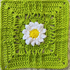 Anleitung Granny Square cc-Margerite