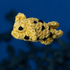 crochet pattern yellow boxfish amigurumi