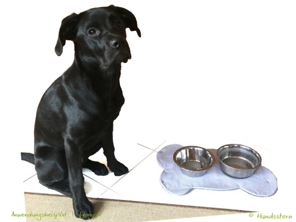 https://www.crazypatterns.net/uploads/cache/items/2021/01/68690/preview/yummy-non-slip-bowl-mat-for-dogs-sewing-pattern-3841939645-600x450.jpg